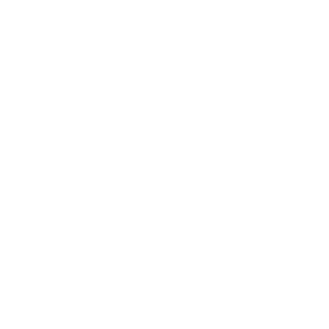 dejavu logo