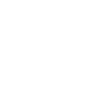 Logo paddy